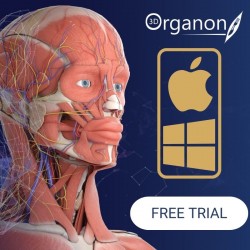 3D Organon Anatomy...