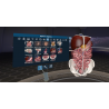 3D Organon VR Anatomy for your Standalone VR headset | Premium