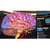 3D Organon VR Anatomy for your Standalone VR headset | Premium