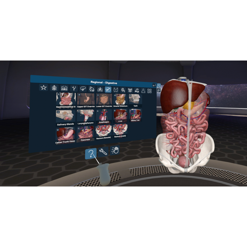 3D Organon VR Anatomy for your Standalone VR headset | Standard