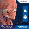 3D Organon Anatomy for Students
