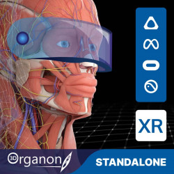 3D Organon XR| Estándar
