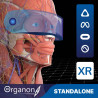 3D Organon VR Anatomy for your Standalone VR headset | Premium