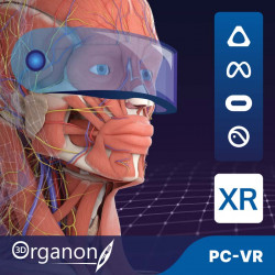 3D Organon XR| Premium