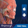 3D Organon Anatomy for Professionals