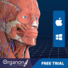 3D Organon VR Anatomy for your Standalone VR headset | Standard