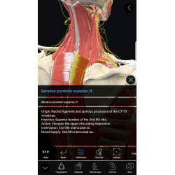 3D Organon Anatomy | Enterprise Edition
