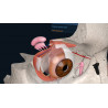 3D Organon XR| Premium
