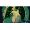 3D Organon XR| Premium