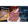 3D Organon XR| Premium