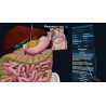 3D Organon XR| Premium