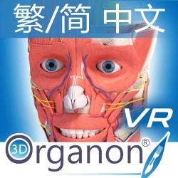 3D Organon XR | Standard | 繁/简 中文