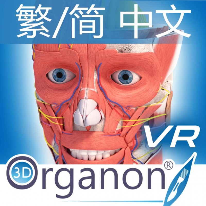 3D Organon XR | Standard | 繁/简 中文 3D Organon XR | Standard | 繁/简 中文