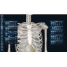 3D Organon Anatomy for Professionals
