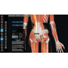 3D Organon Anatomy for Professionals