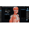 3D Organon Anatomy for Professionals