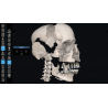 3D Organon Anatomy for Professionals