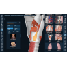 3D Organon Anatomy for Professionals