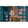 3D Organon Anatomy for Professionals