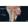 3D Organon Anatomy for Professionals