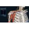 3D Organon Anatomy for Professionals