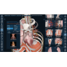 3D Organon Anatomy for Professionals
