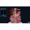 3D Organon VR Anatomy for your Standalone VR headset | Standard