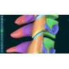 3D Organon VR Anatomy for your Standalone VR headset | Standard