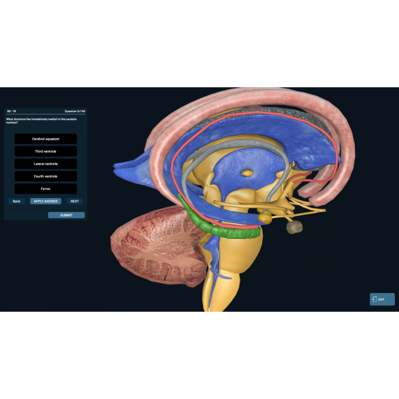 3D Organon VR Anatomy for your Standalone VR headset | Standard