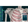 3D Organon VR Anatomy for your Standalone VR headset | Standard