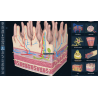 3D Organon VR Anatomy for your Standalone VR headset | Standard