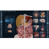 3D Organon VR Anatomy for your Standalone VR headset | Standard