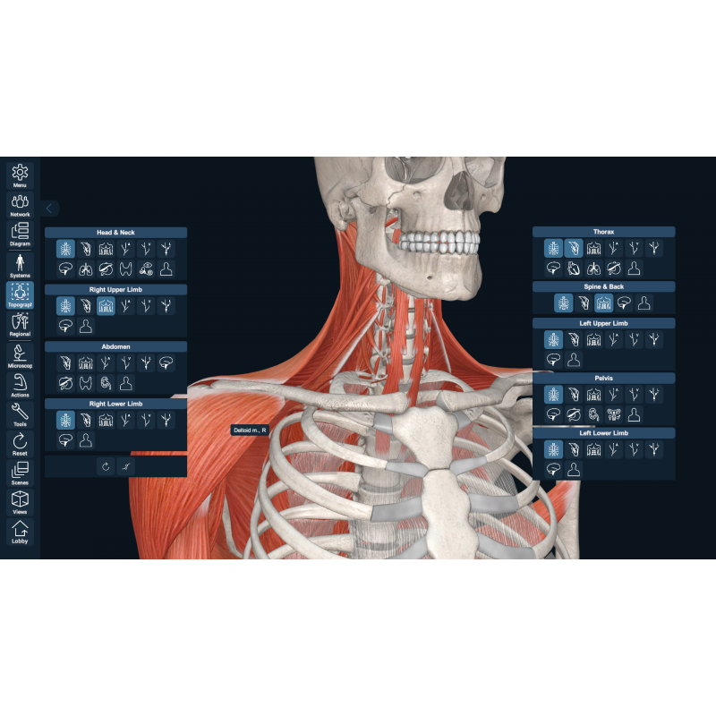 3D Organon VR Anatomy for your Standalone VR headset Standard