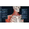 3D Organon VR Anatomy for your Standalone VR headset | Standard