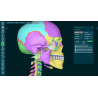3D Organon for your mobile | Standard
