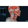 3D Organon for your mobile | Standard
