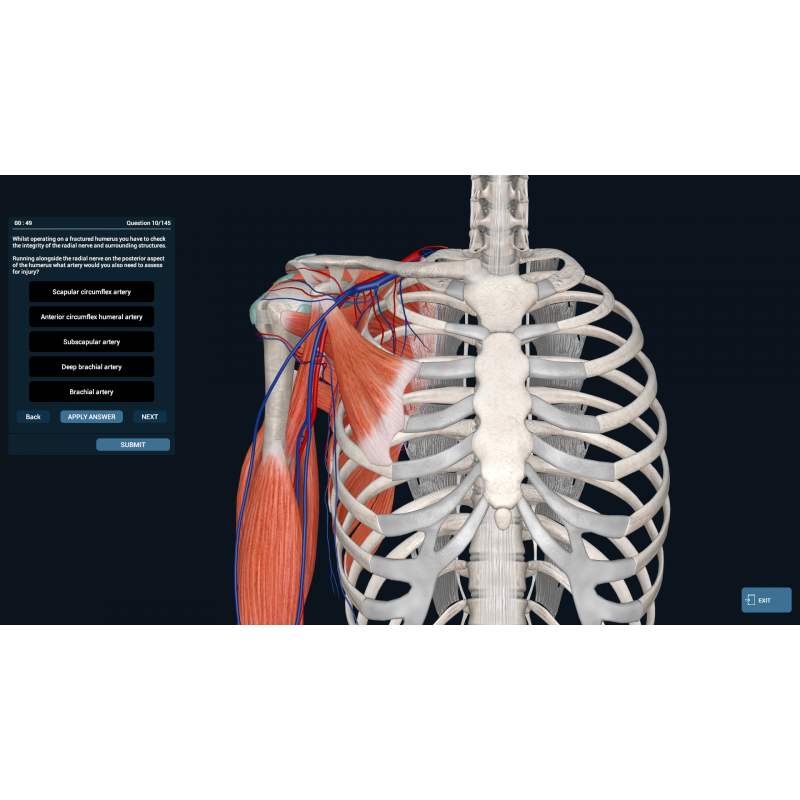 3D Organon VR Anatomy for your Standalone VR headset | Standard