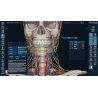 3D Organon for your mobile | Standard