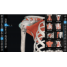 3D Organon for your mobile | Standard