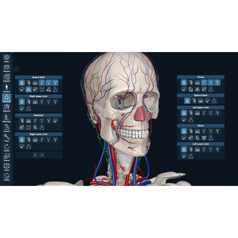 3D Organon VR Anatomy for your Standalone VR headset | Standard