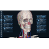 3D Organon for your mobile | Standard