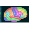 3D Organon for Students