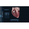 3D Organon for Students