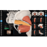 3D Organon for Students
