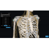 3D Organon for Students