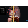 3D Organon for Students