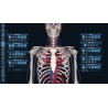 3D Organon for Students