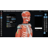 3D Organon Anatomy for Students