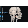 3D Organon Anatomy for Students