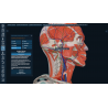 3D Organon Anatomy for Students